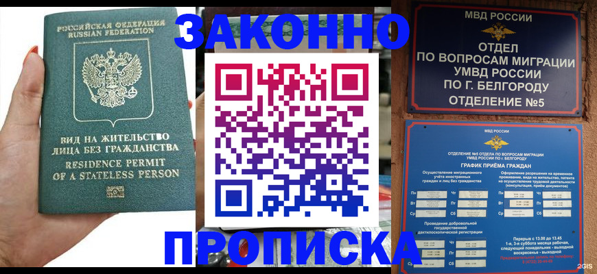 прописка для кредита в Пласте